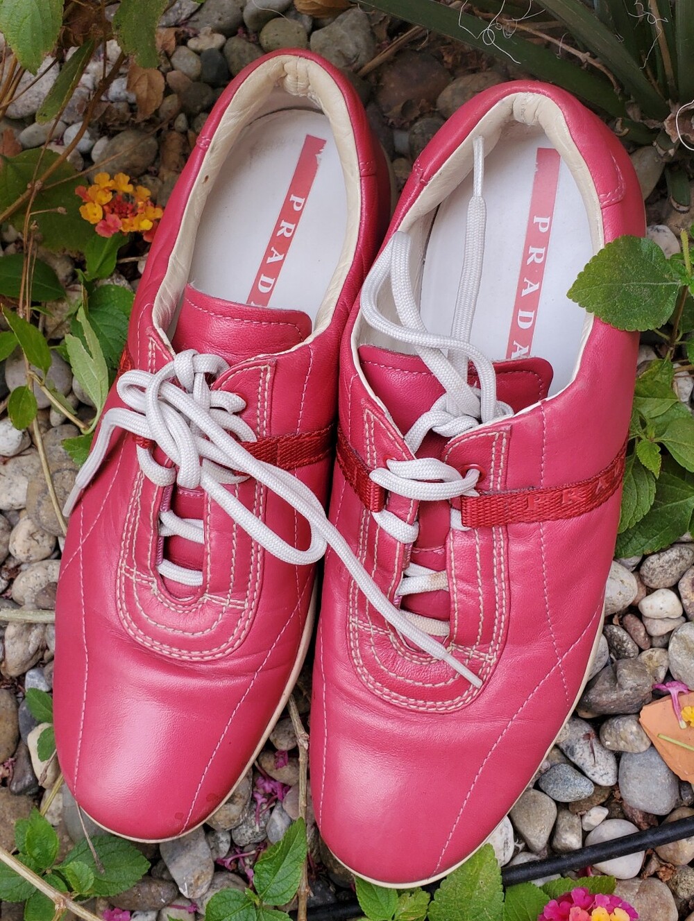 Prada Shoes - Picture 5 of 5